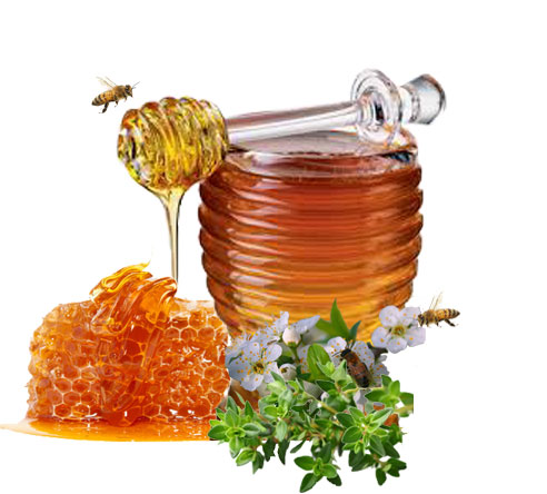 images/stories/virtuemart/product/HoneyAvishan1__1644585198_296